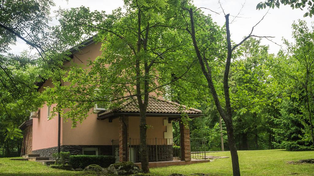 Nika Hotel Catrnja Bagian luar foto